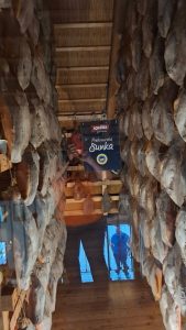 Ekskurzija v Pomurje in Prekmurje